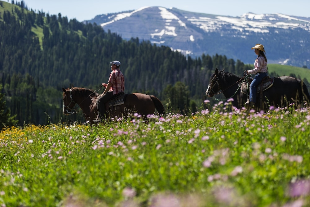 어린이 즐길거리