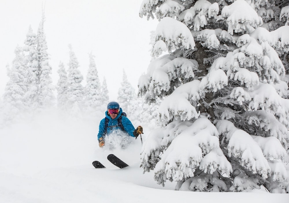 스키 및 겨울 스포츠