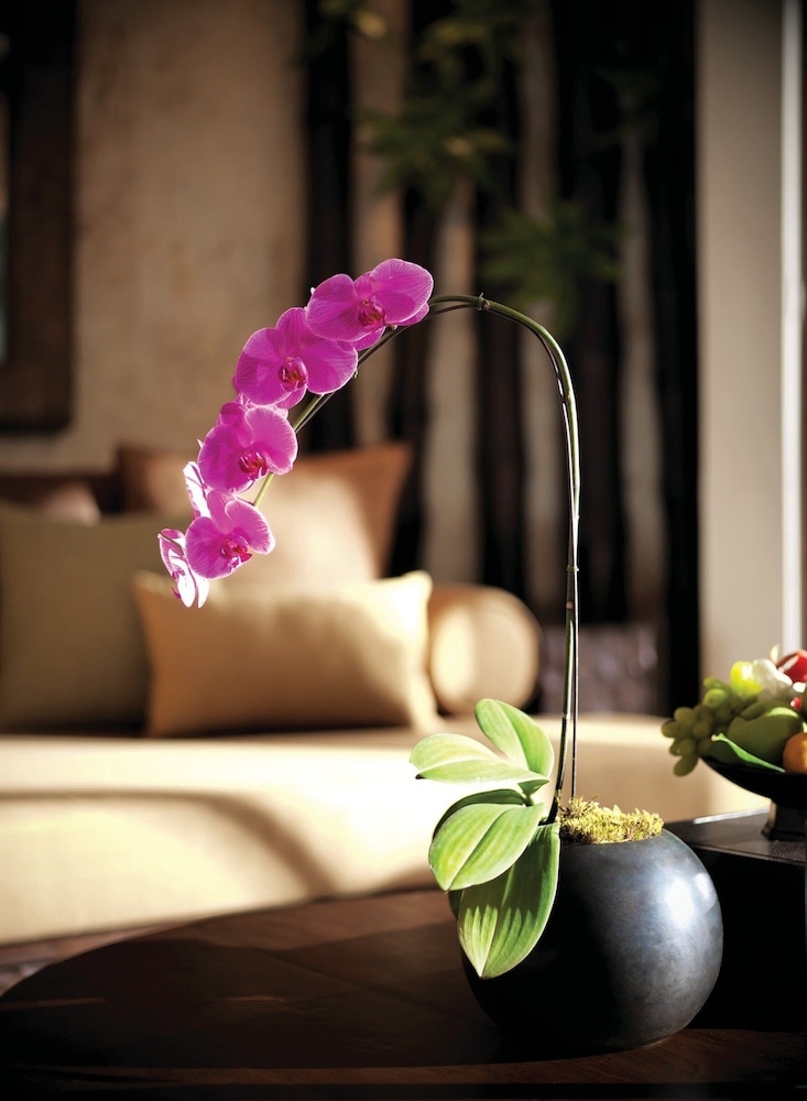 숙박 시설 내 편의 시설/서비스