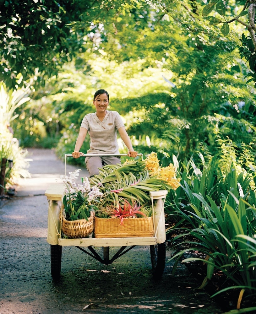 숙박 시설 내 편의 시설/서비스