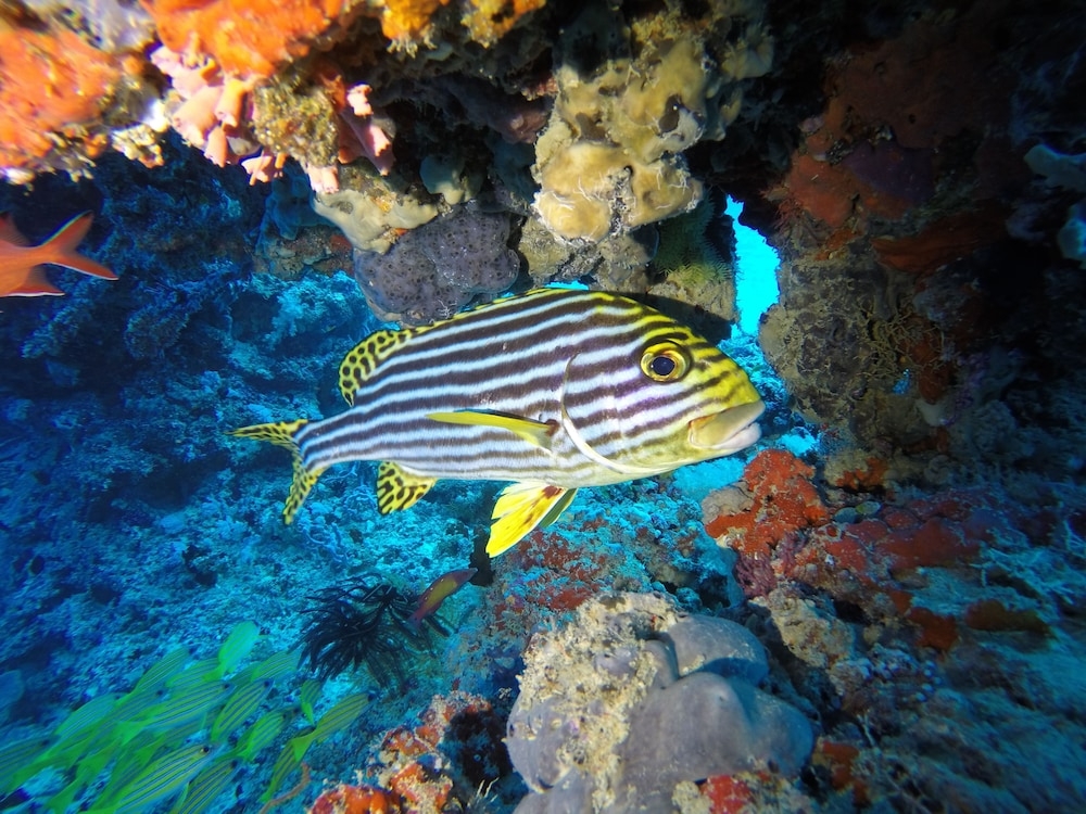 숙박 시설 구내