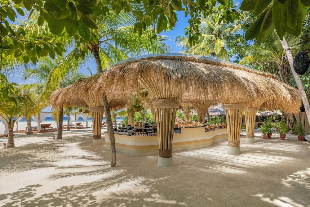 BBQ/피크닉 공간