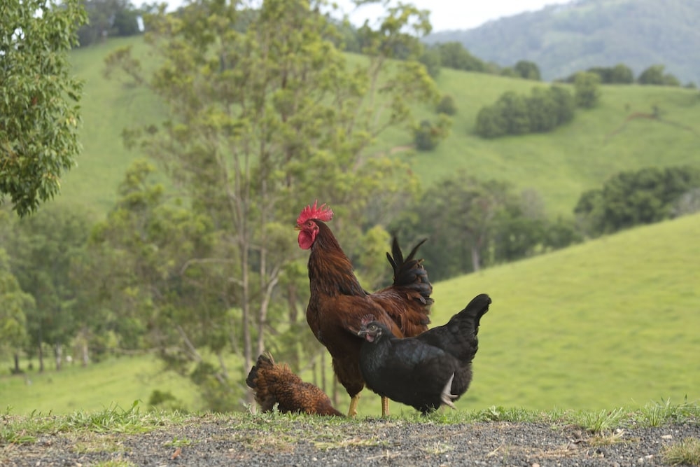 숙박 시설 구내