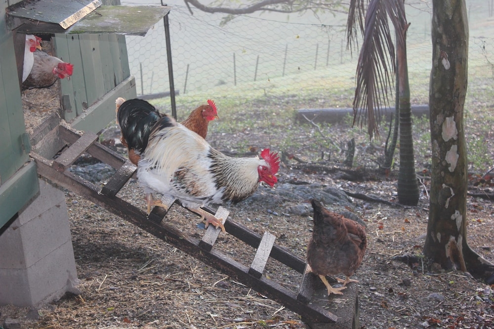 숙박 시설 구내