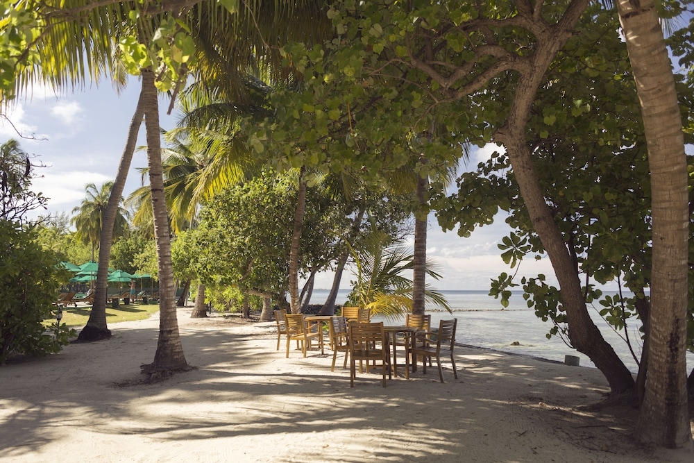 BBQ/피크닉 공간