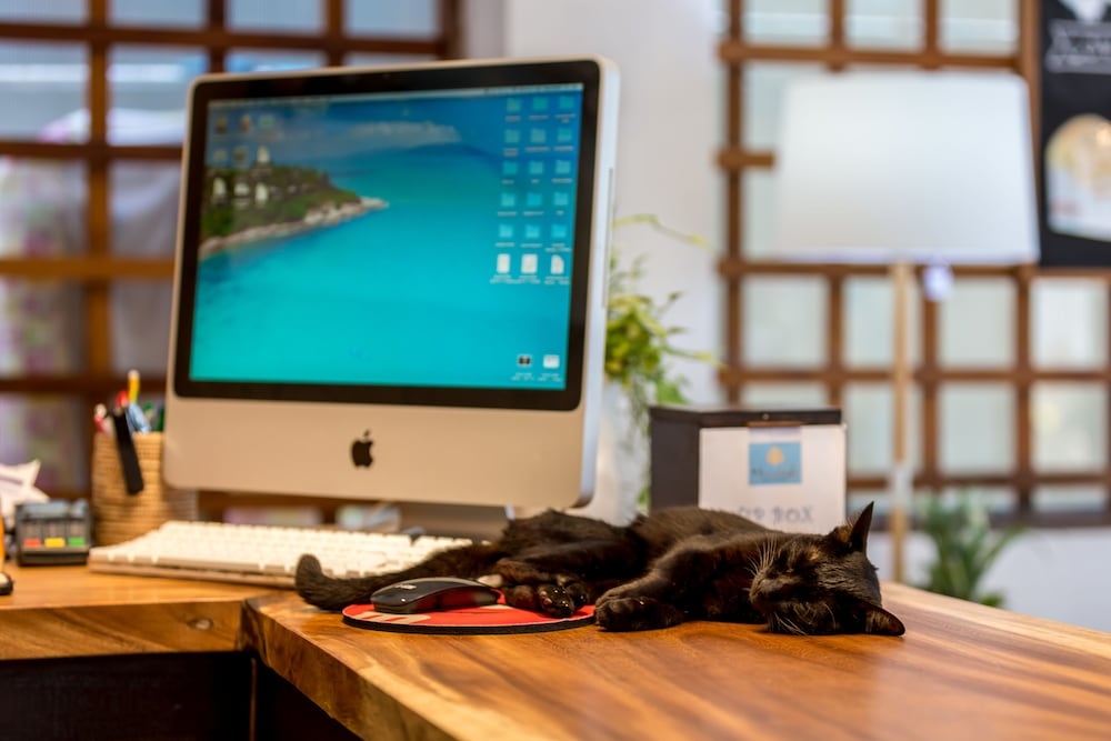 체크인/체크아웃 키오스크