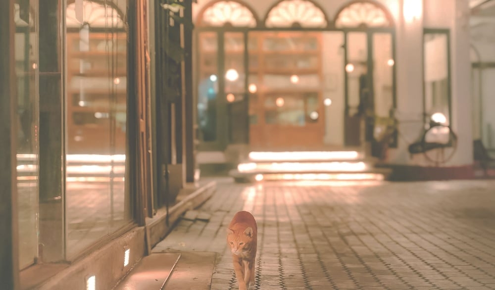 숙박 시설 정면 - 저녁/밤