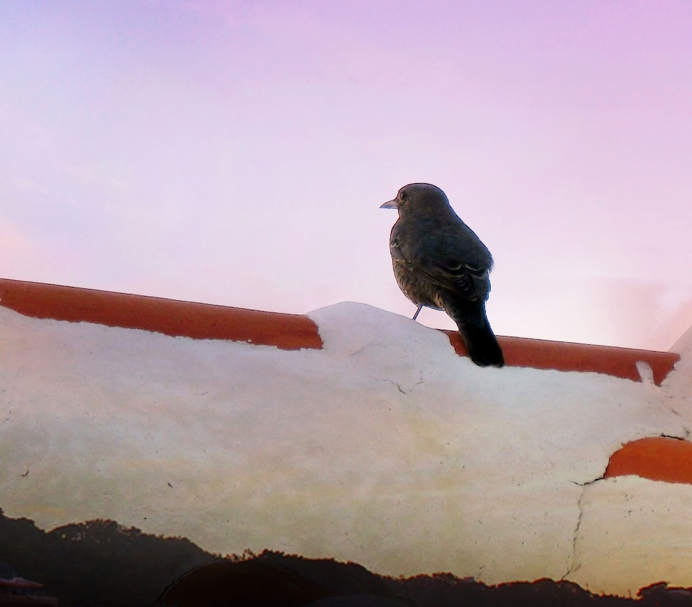 숙박 시설 구내
