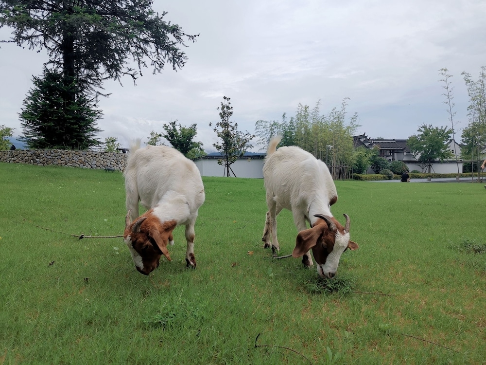 어린이 즐길거리