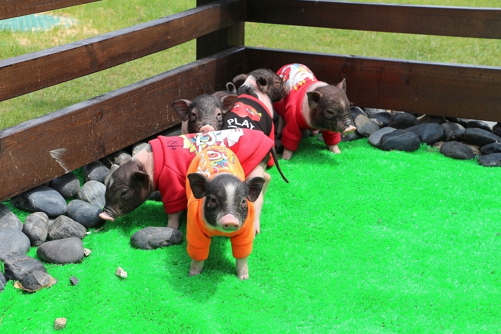 어린이 즐길거리