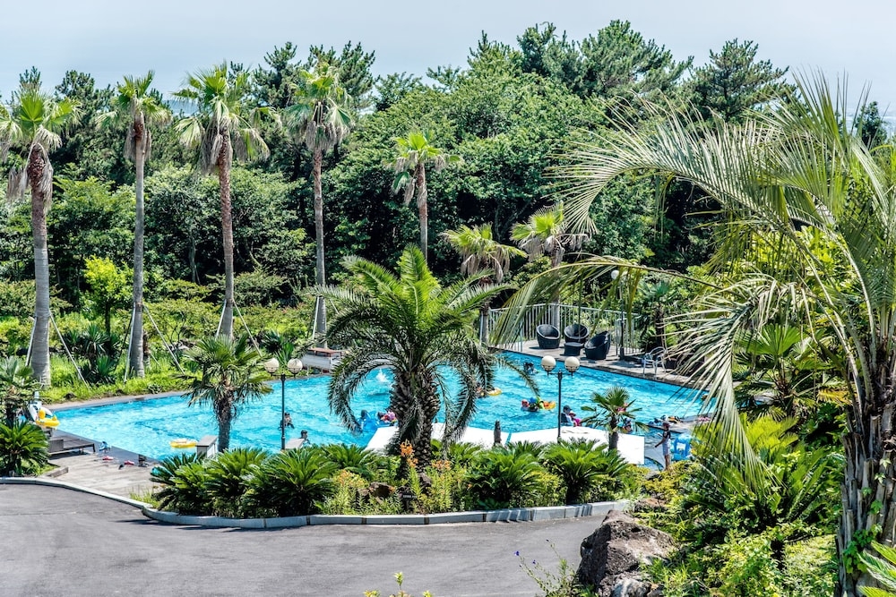 외부 세부 사진