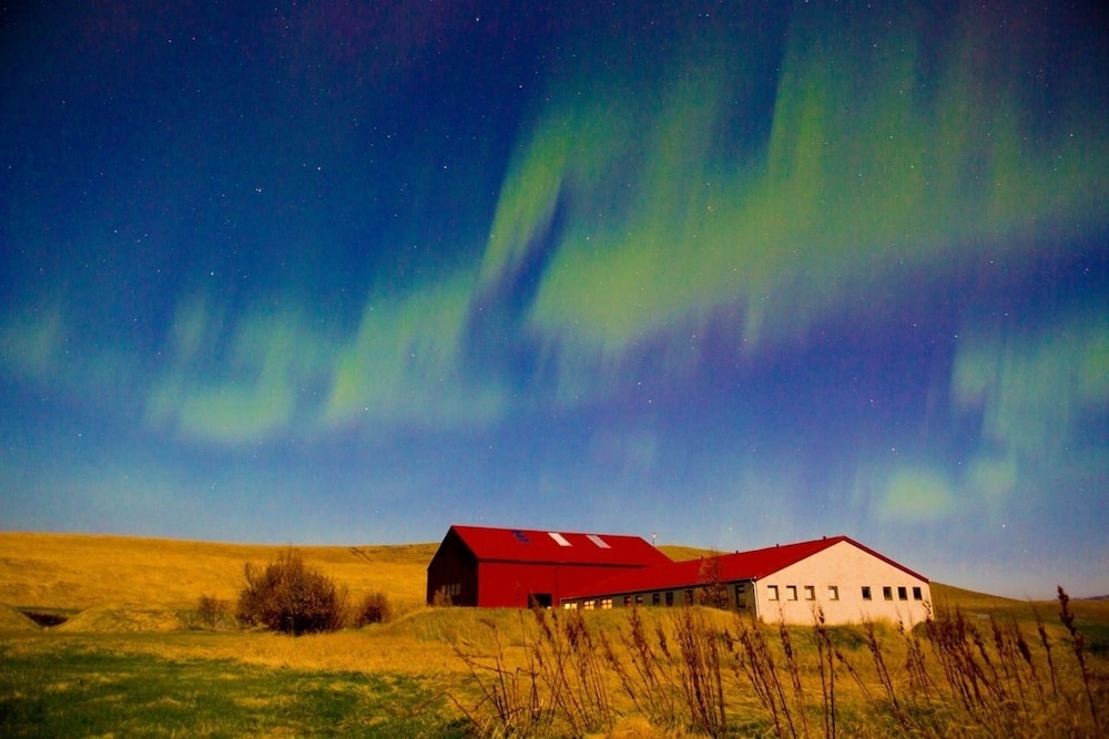 숙박 시설 정면 - 저녁/밤