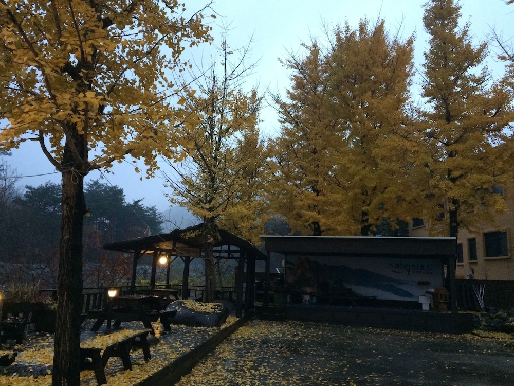 BBQ/피크닉 공간