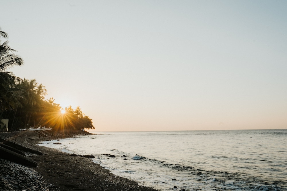 BBQ/피크닉 공간