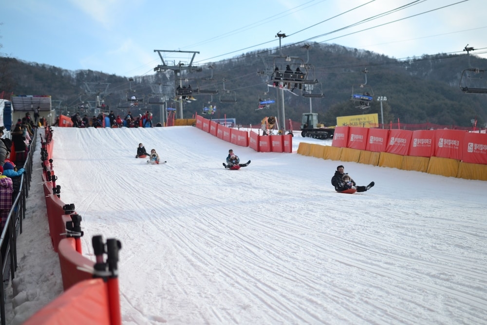 썰매 타기