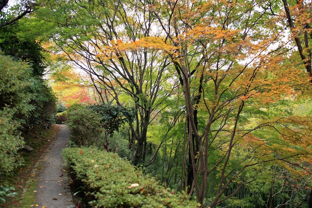 숙박 시설 내 편의 시설/서비스