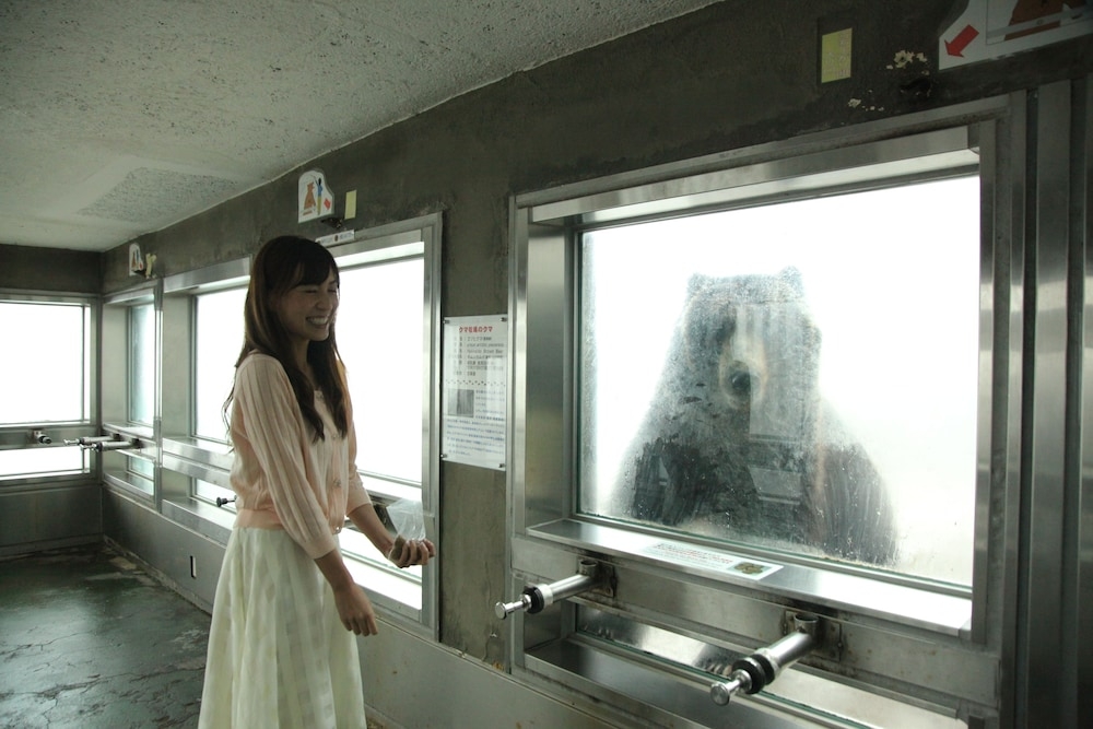 어린이 즐길거리