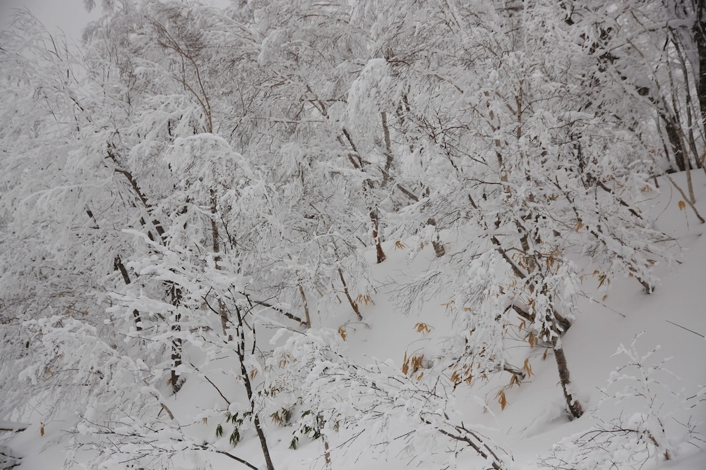 숙박 시설의 전망