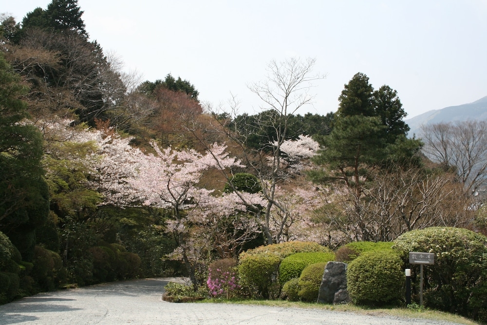 숙박 시설 구내