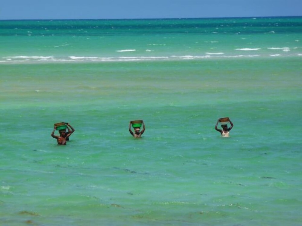 숙박 시설의 전망