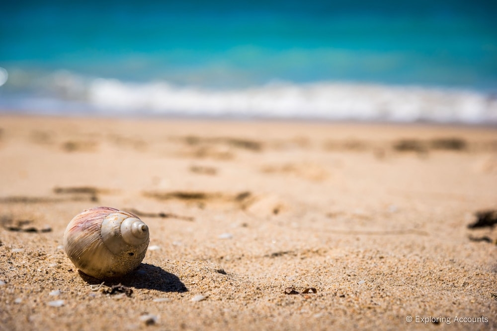 숙박 시설의 전망