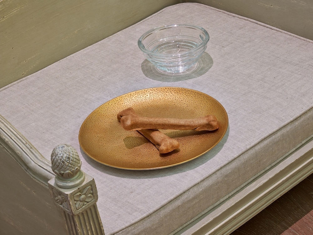 반려동물 동반 가능