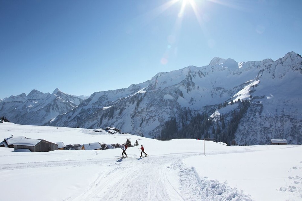 스키 및 겨울 스포츠