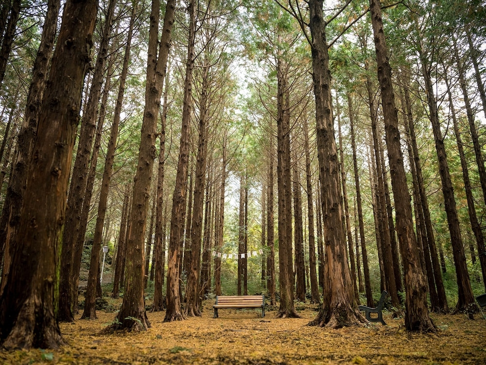 숙박 시설의 전망