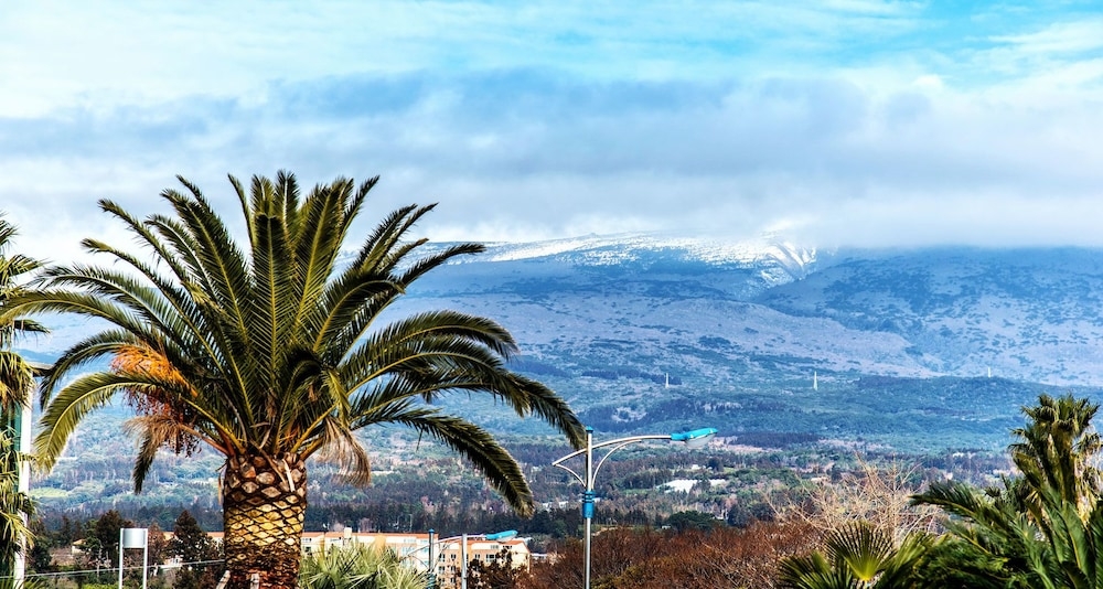 숙박 시설의 전망