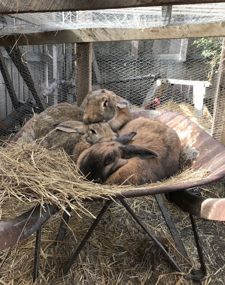 숙박 시설 구내