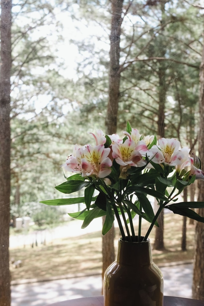 객실에서 보이는 전망