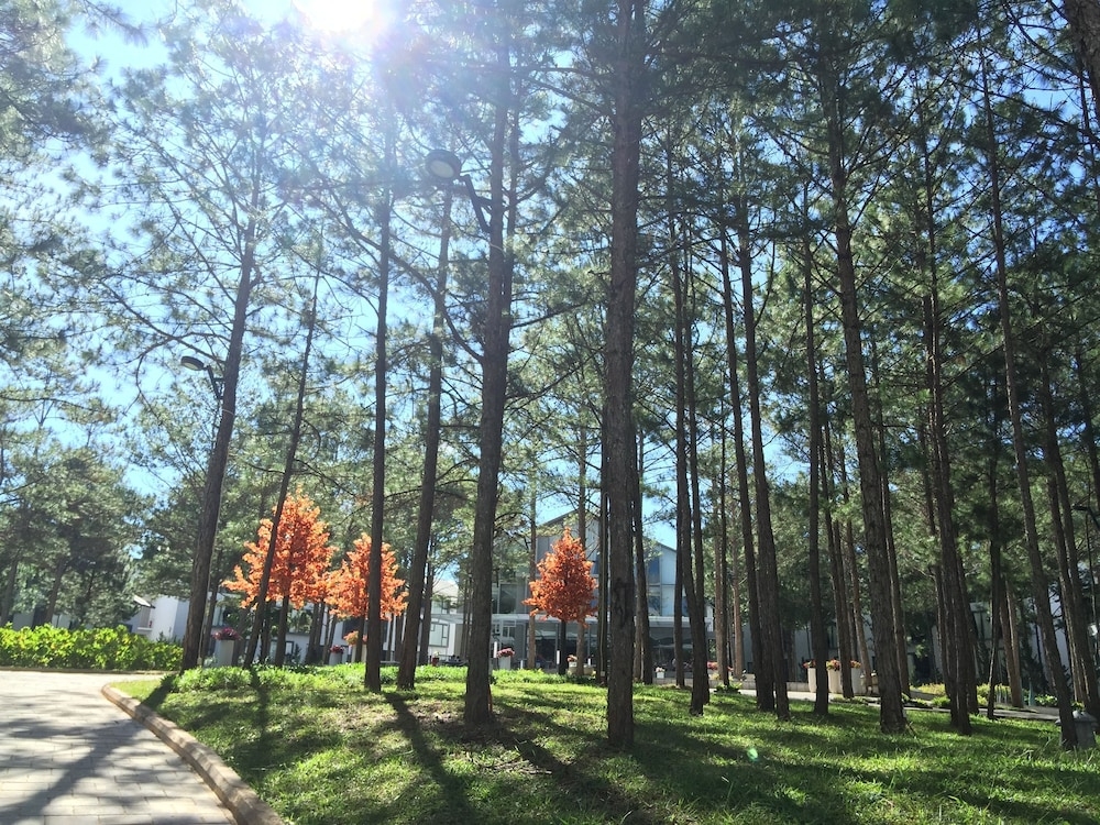 숙박 시설 구내