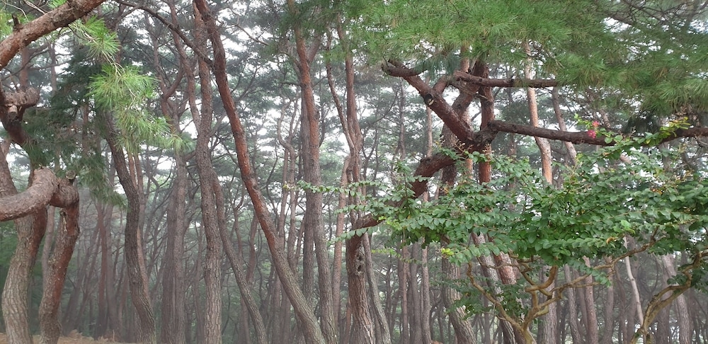 숙박 시설에서 보는 주변 전망