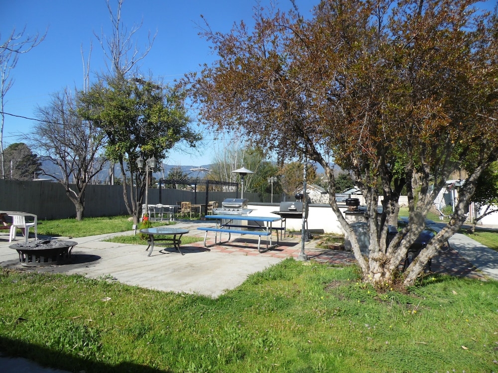 BBQ/피크닉 공간