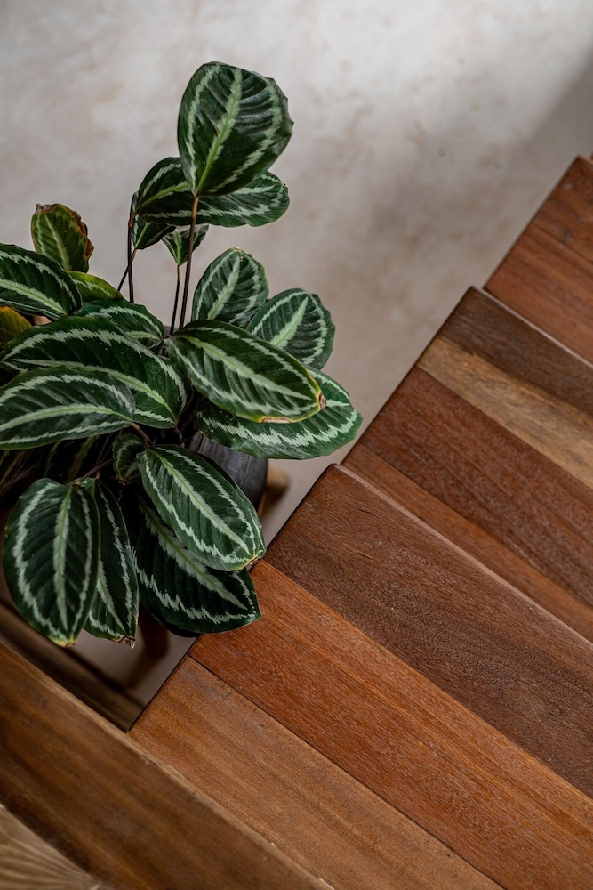 내부 세부 사진