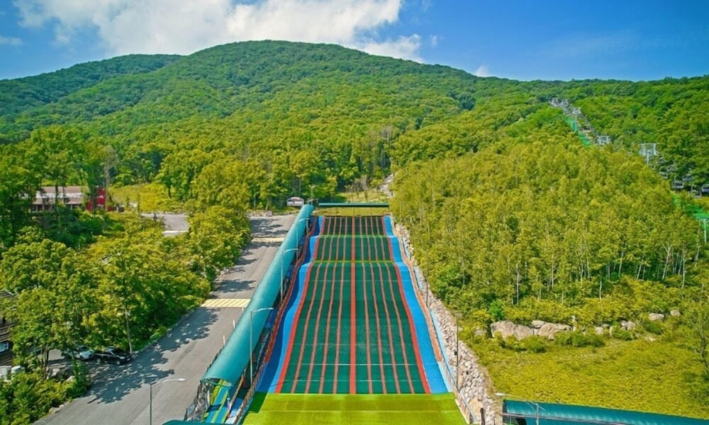 외부 세부 사진