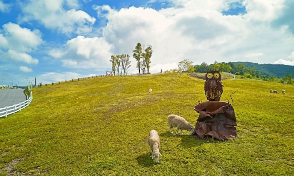 외부 세부 사진