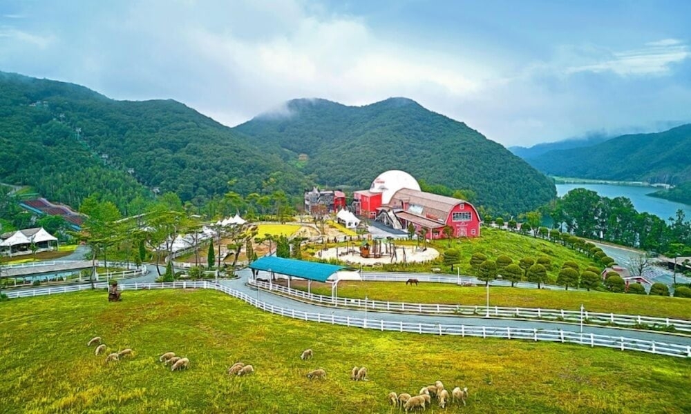 외부 세부 사진