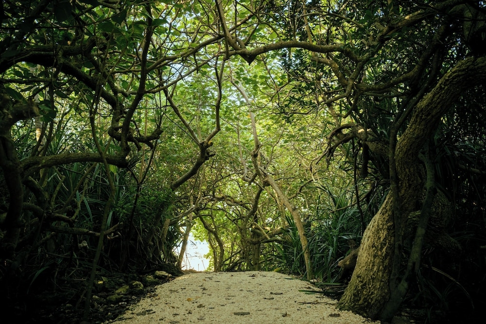 숙박 시설에서 보는 주변 전망