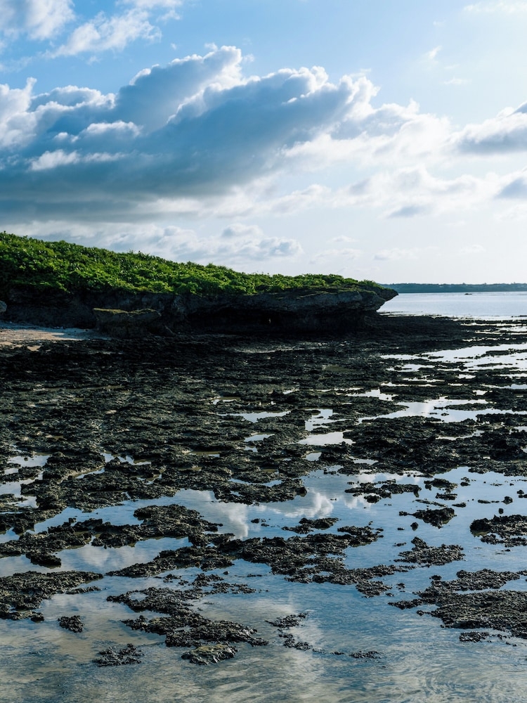 숙박 시설에서 보는 주변 전망