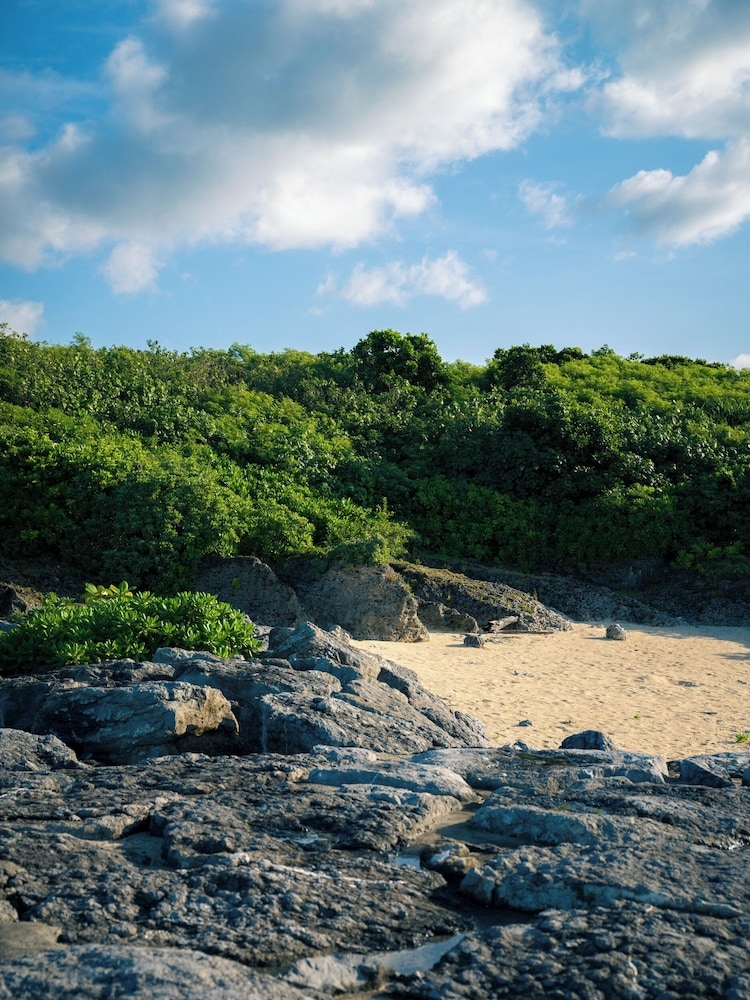 숙박 시설에서 보는 주변 전망