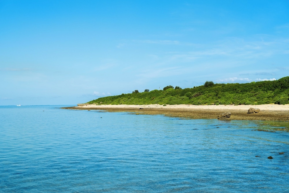 숙박 시설에서 보는 주변 전망