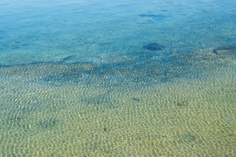 숙박 시설에서 보는 주변 전망