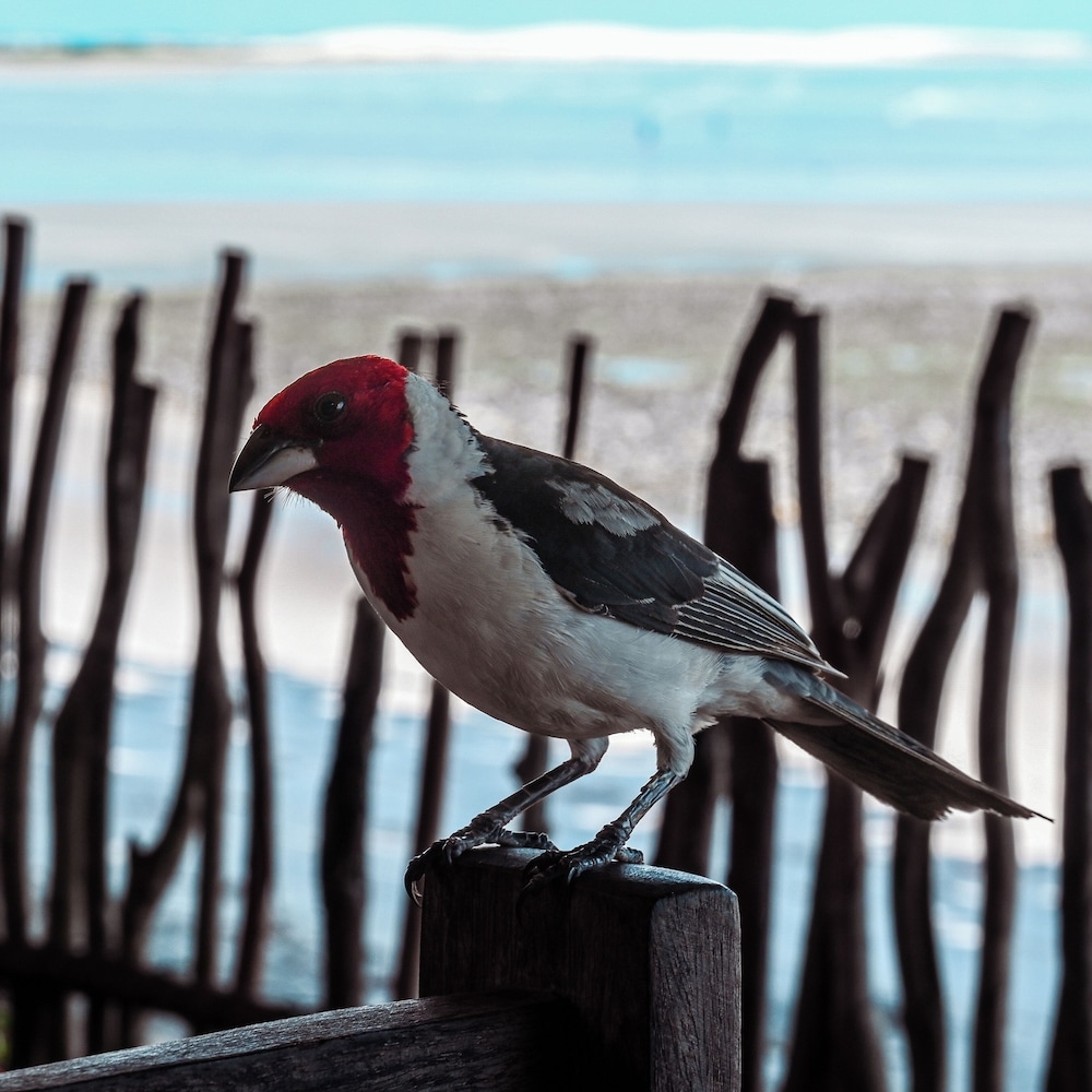 숙박 시설의 전망