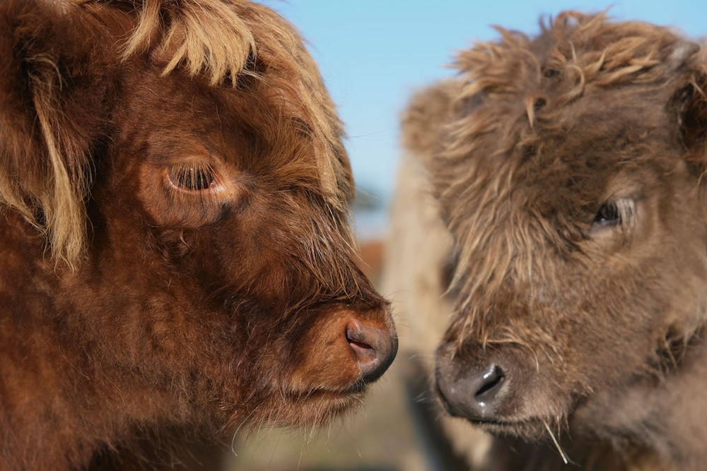 숙박 시설 정면
