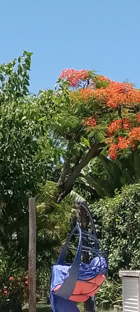 숙박 시설 정면