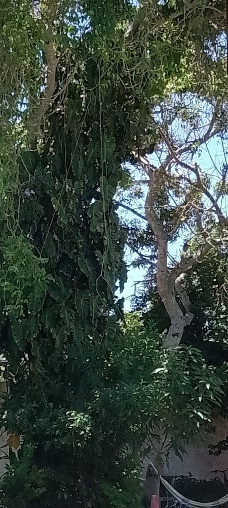 숙박 시설 정면