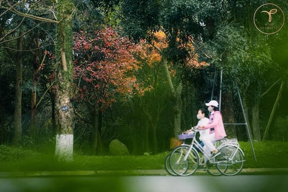 어린이 놀이 공간 - 야외