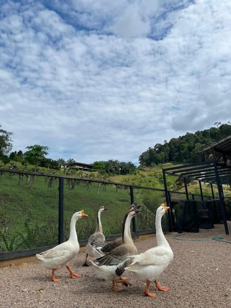 외부 세부 사진