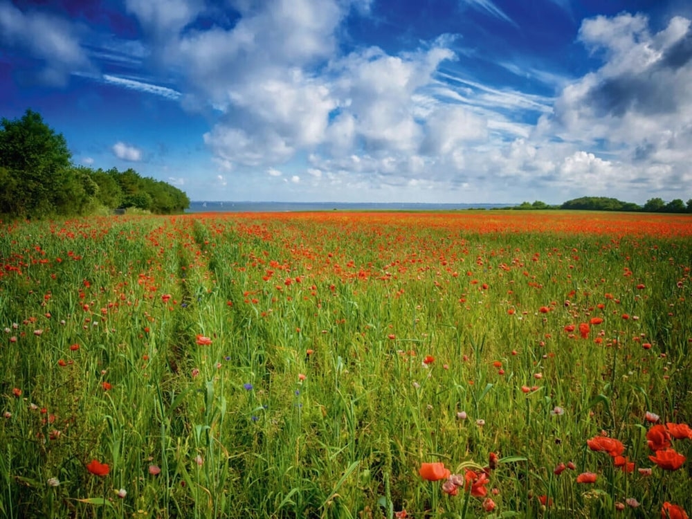 숙박 시설 구내